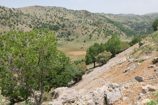 ברכת מן ברכת מן